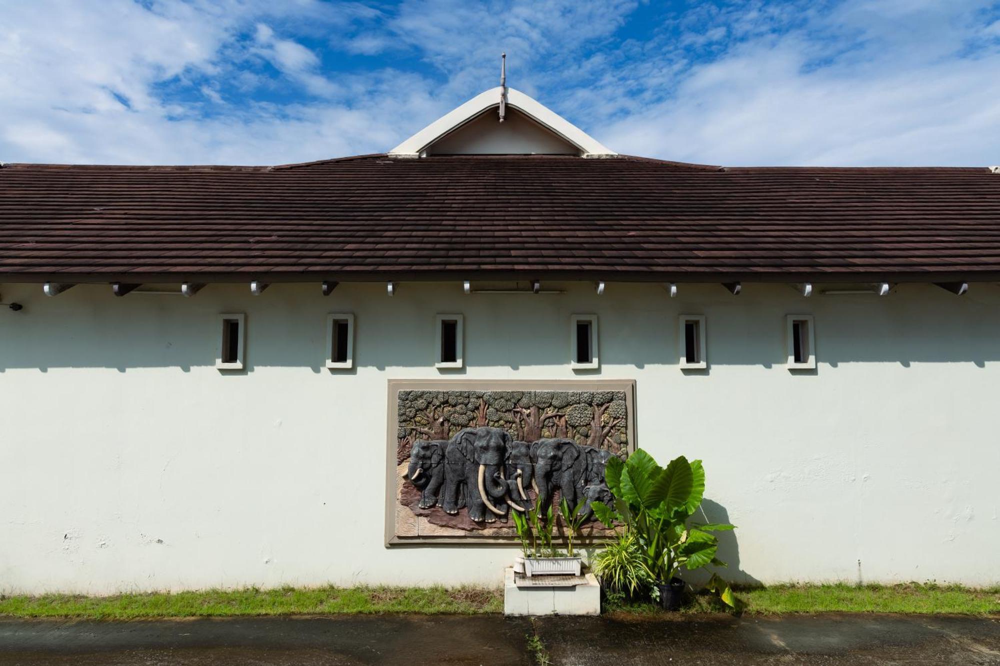 Sleep Hotel - Sha Certified Surat Thani Exterior photo